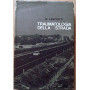 Traumatologia della strada