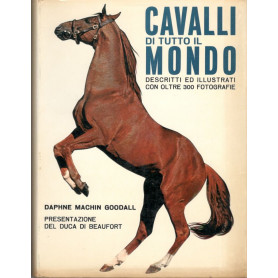Cavalli di tutto il mondo