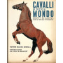 Cavalli di tutto il mondo