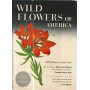 Wild flowers of America