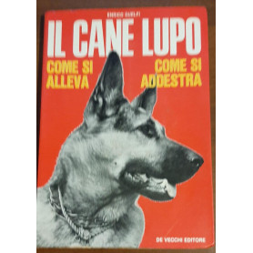 Il cane lupo: come si alleva come si addestra