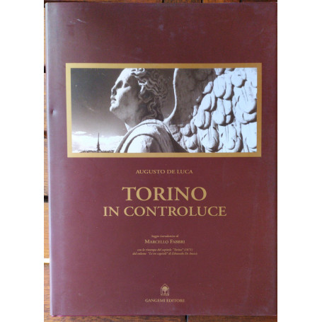 Torino in controluce