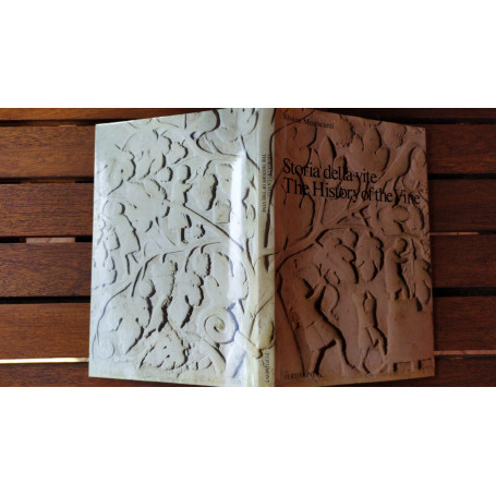 Storia della vite The history of the vine