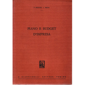 Piano e budget d'impresa
