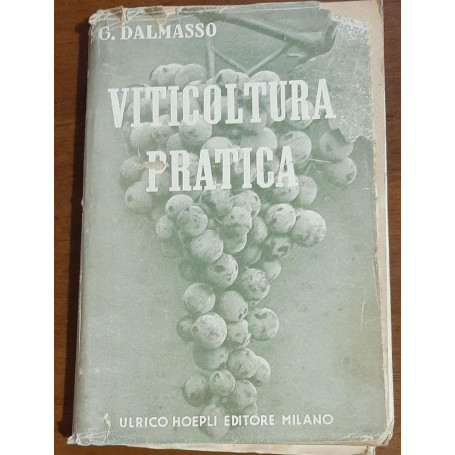 VITICULTURA MODERNA