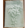 VITICULTURA MODERNA