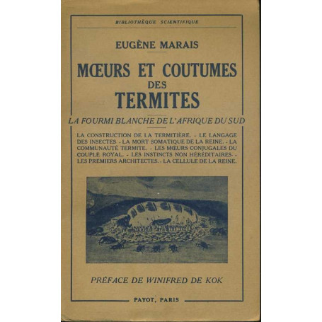 Moeurs et coutumes de termites