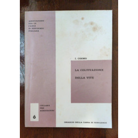 LA COLTIVAZIONE DELLA VITE