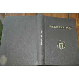 Dalmine societa' anonima