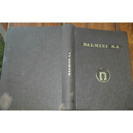 Dalmine societa' anonima