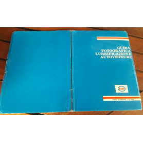 Guida fotografica lubrificazione autovetture.