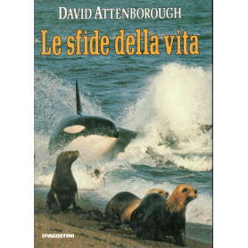 Le sfide della vita
