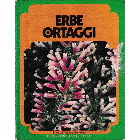 Erbe e ortaggi