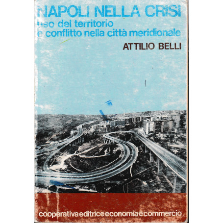 Napoli nella crisi. Uso del territorio e conflitto nella città  meridionale