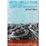 Napoli nella crisi. Uso del territorio e conflitto nella città  meridionale
