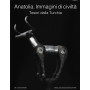 Anatolia. Immagini di civiltà . Tesori dalla Turchia