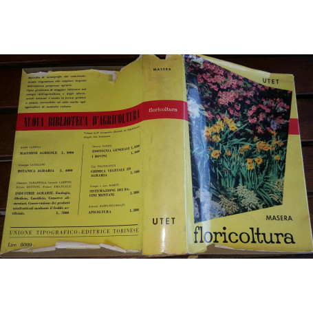 Floricultura