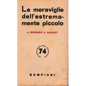 Le meraviglie dell'estremamente piccolo