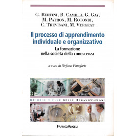 Il processo di apprendimento individuale e organizzativo. La formazione nella società  della conoscenza