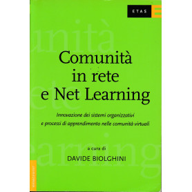 Comunità  in rete e Net Learning. Innovazione dei sistemi organizzativi e processi di apprendimento nelle comunità  virtuali