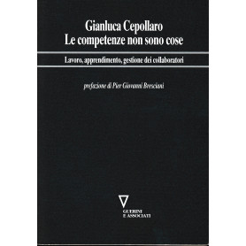 Le competenze non sono cose. Lavoro