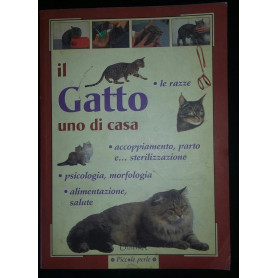 Il gatto uno di casa