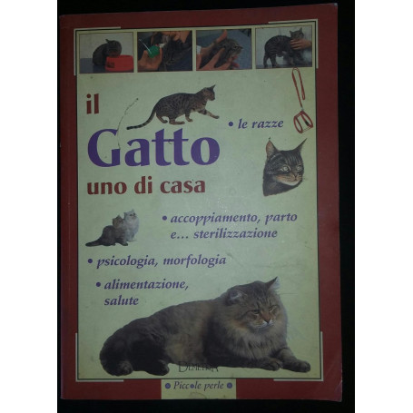 Il gatto uno di casa