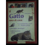 Il gatto uno di casa