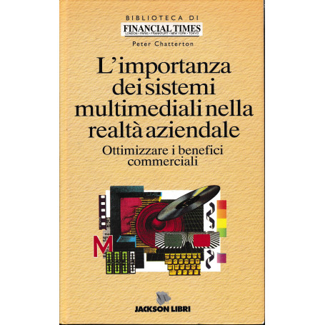 L'importanza dei sistemi multimediali nella realtà  aziendale. Ottimizzare i benefici commerciali