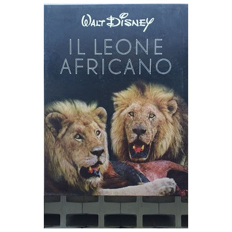 Walt Disney. Il leone africano