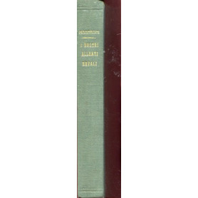 I nostri alleati navali - ricordi della Guerra Adriatica 1915-1918