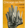 Chigago on foot - walking tours of Chicago's architecture